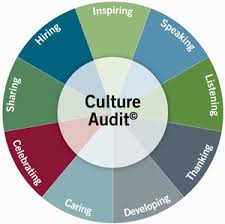 culture audit2
