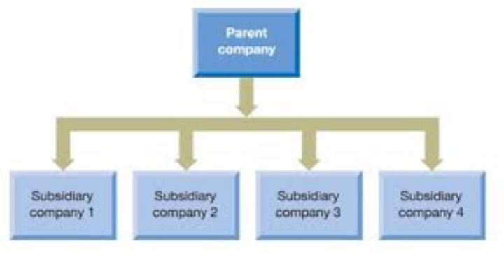 Parent Company And Subsidiary Liability For FCPA Violations Fighting 